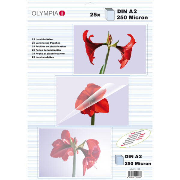 Olympia 9186 - Transparent - A2 - 429 mm - 19 mm - 306 mm - 525 g