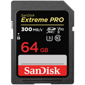 SanDisk Extreme PRO - 64 GB - SDXC - Klasse 10 - UHS-II - 300 MB/s - 260 MB/s